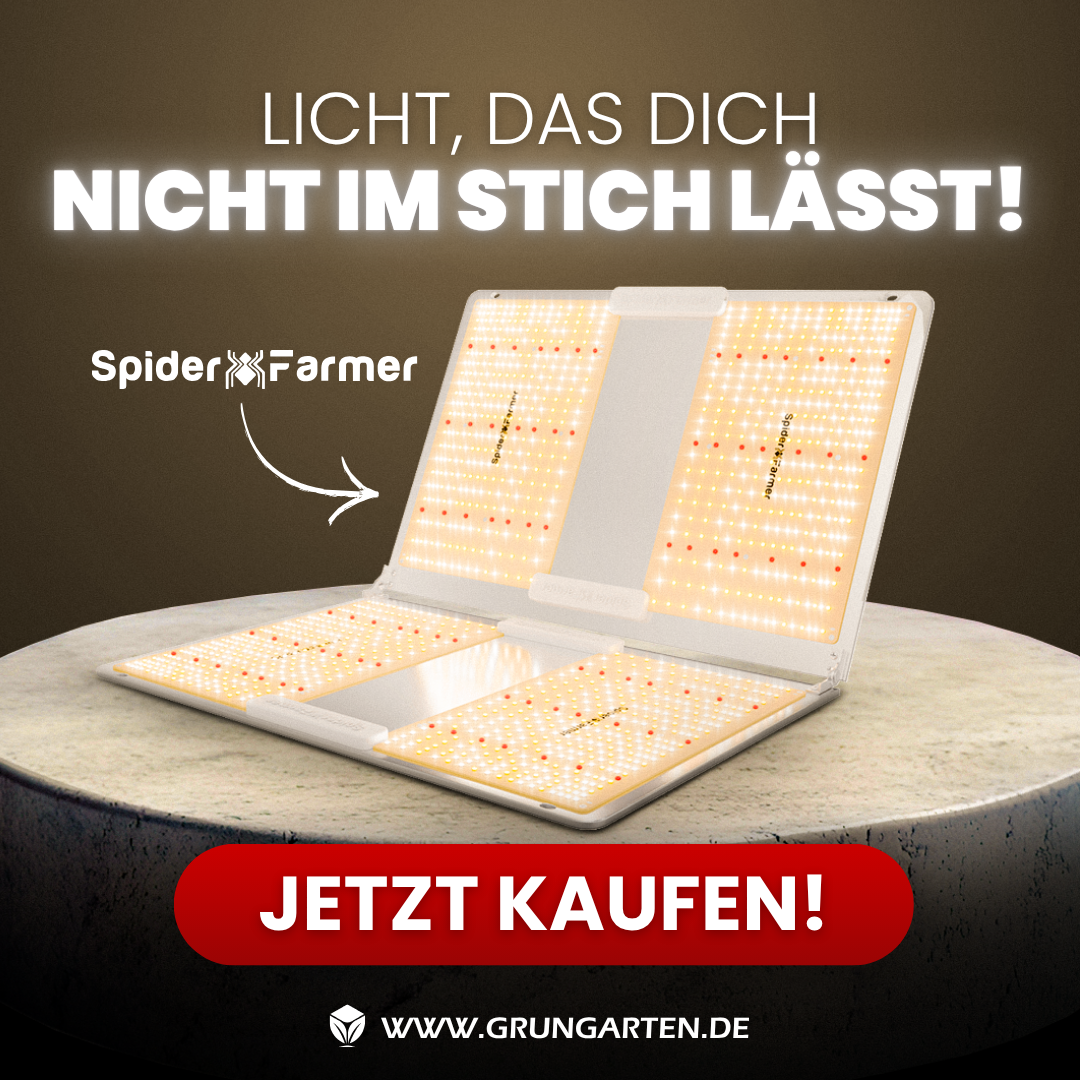 Grüngarten Facebook ad