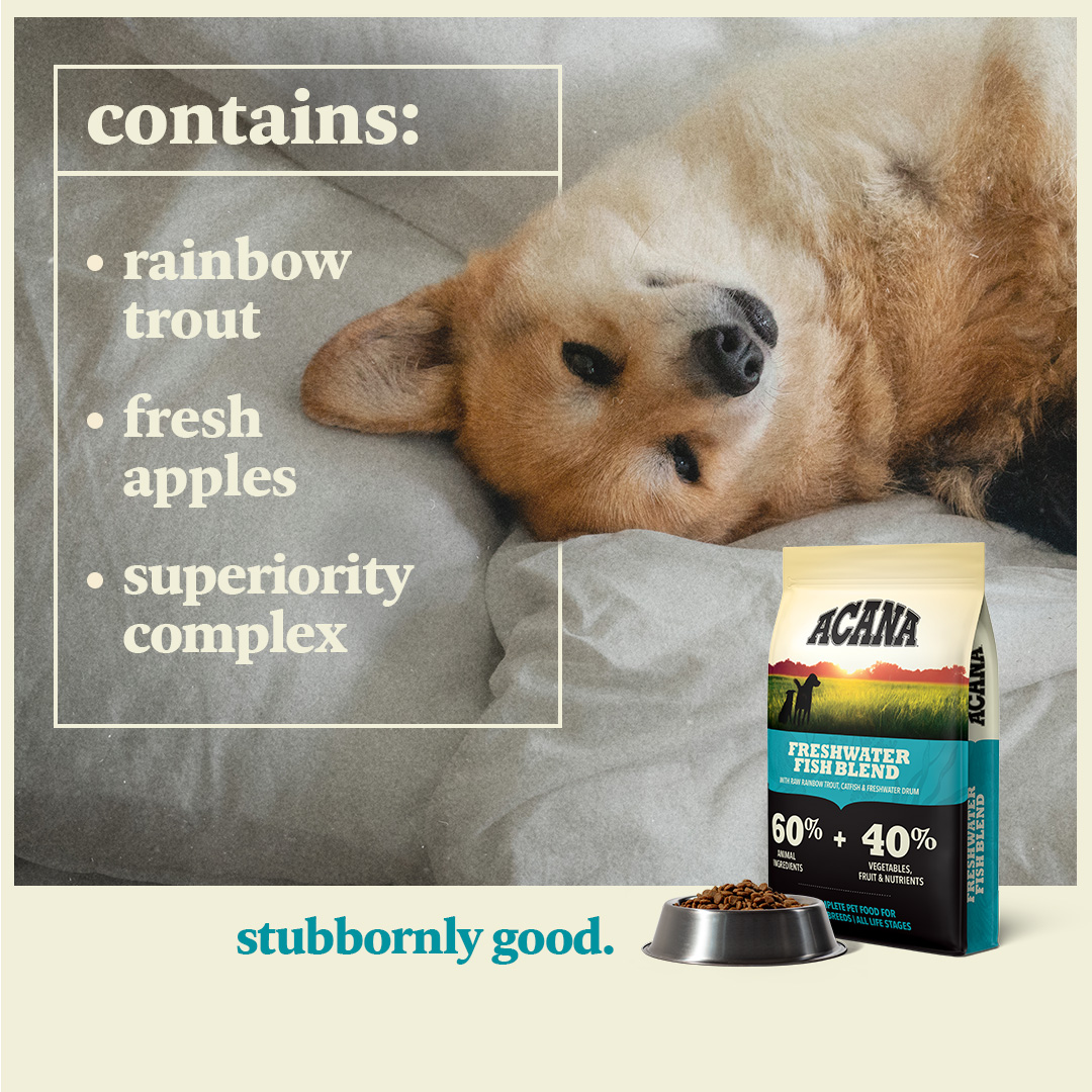 Petco Facebook ad
