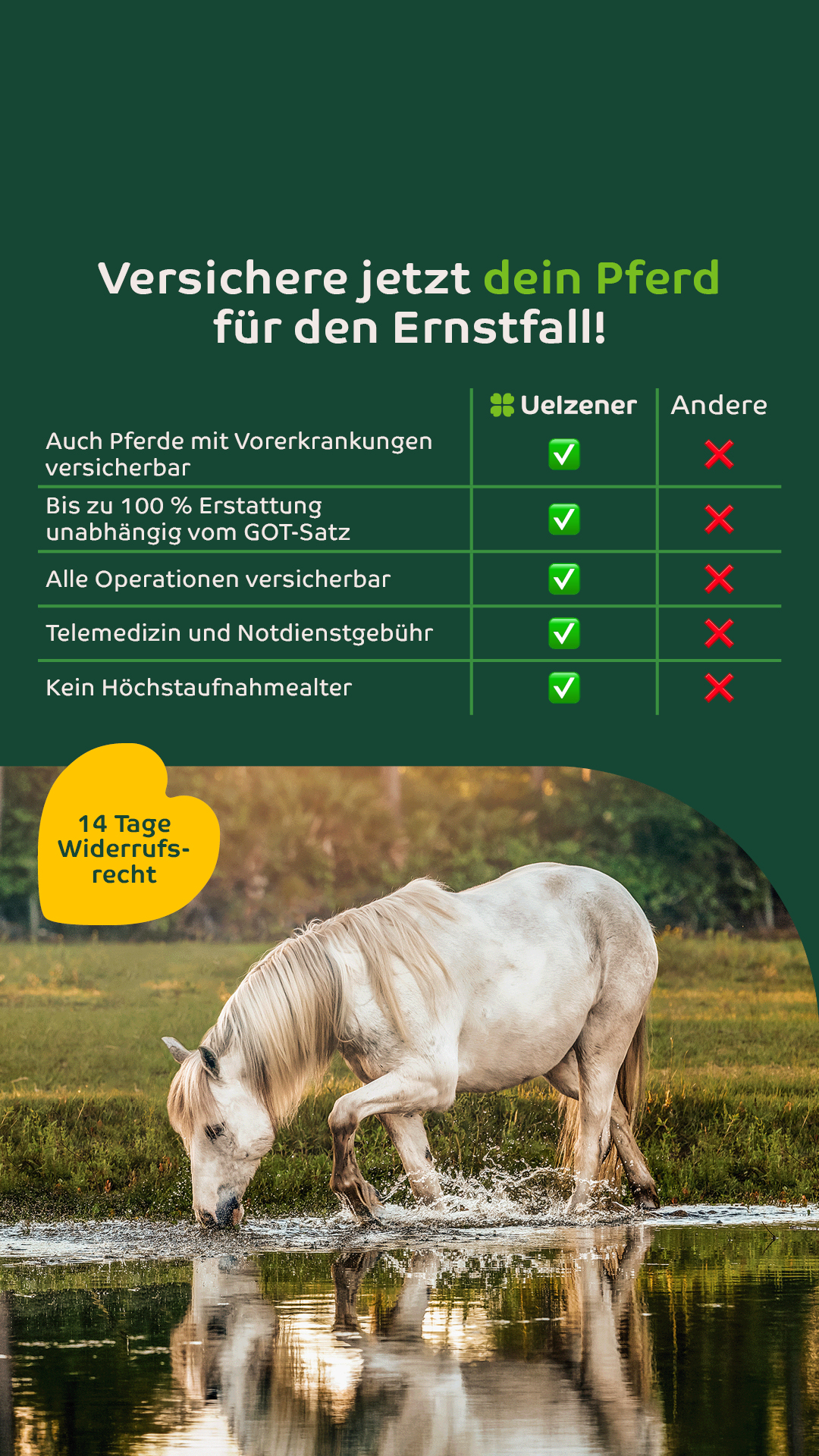 Uelzener Versicherungen Facebook ad