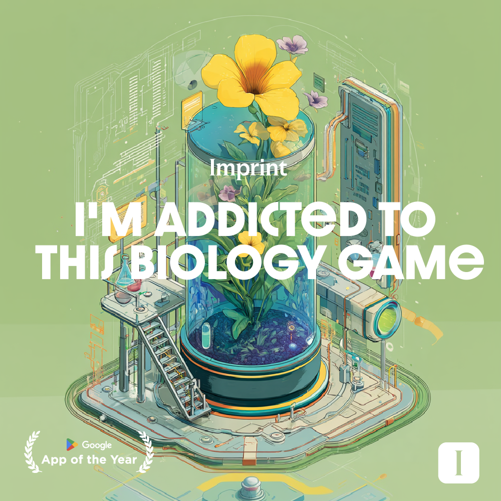 Imprint: Learn Visually Facebook ad