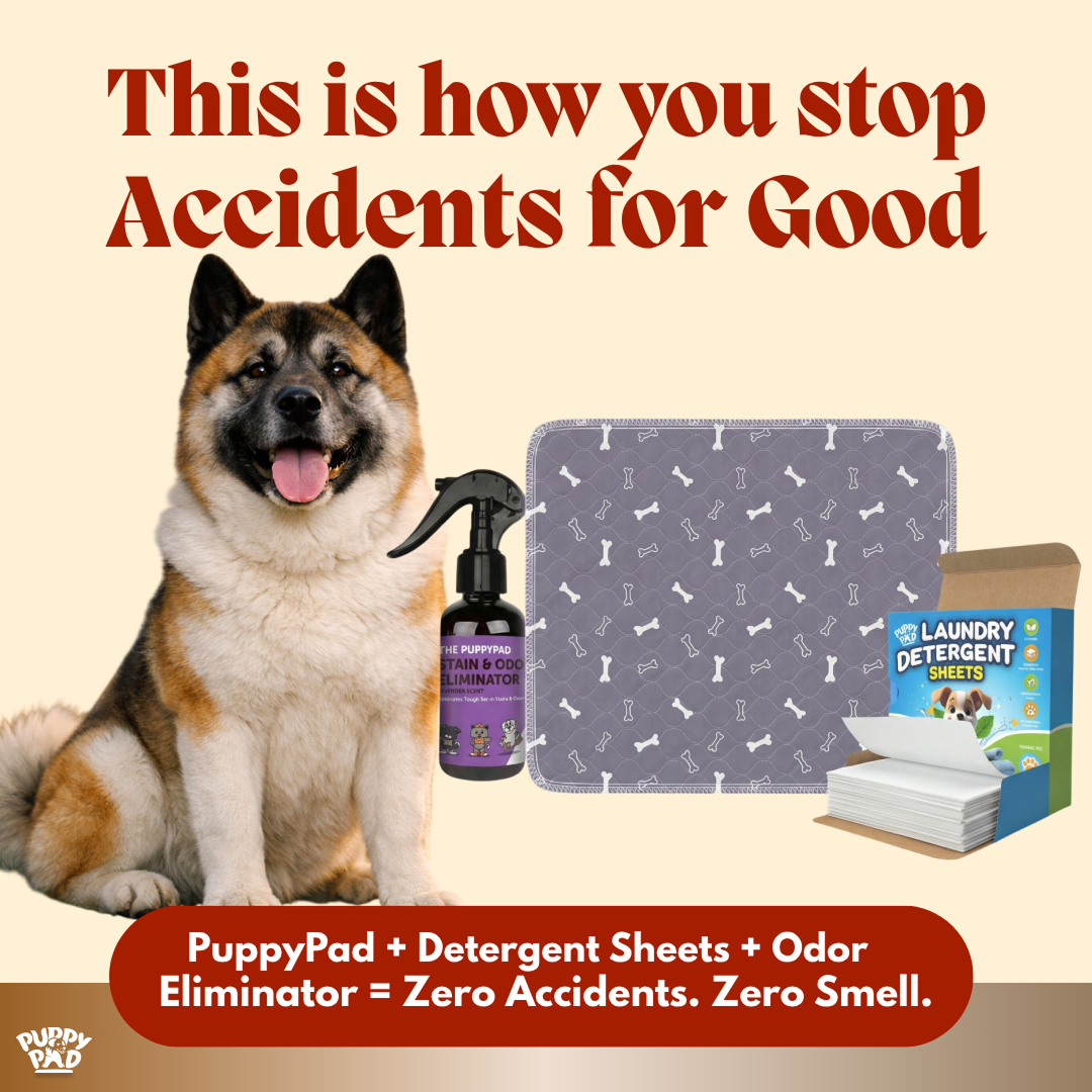 PuppyPad Facebook ad