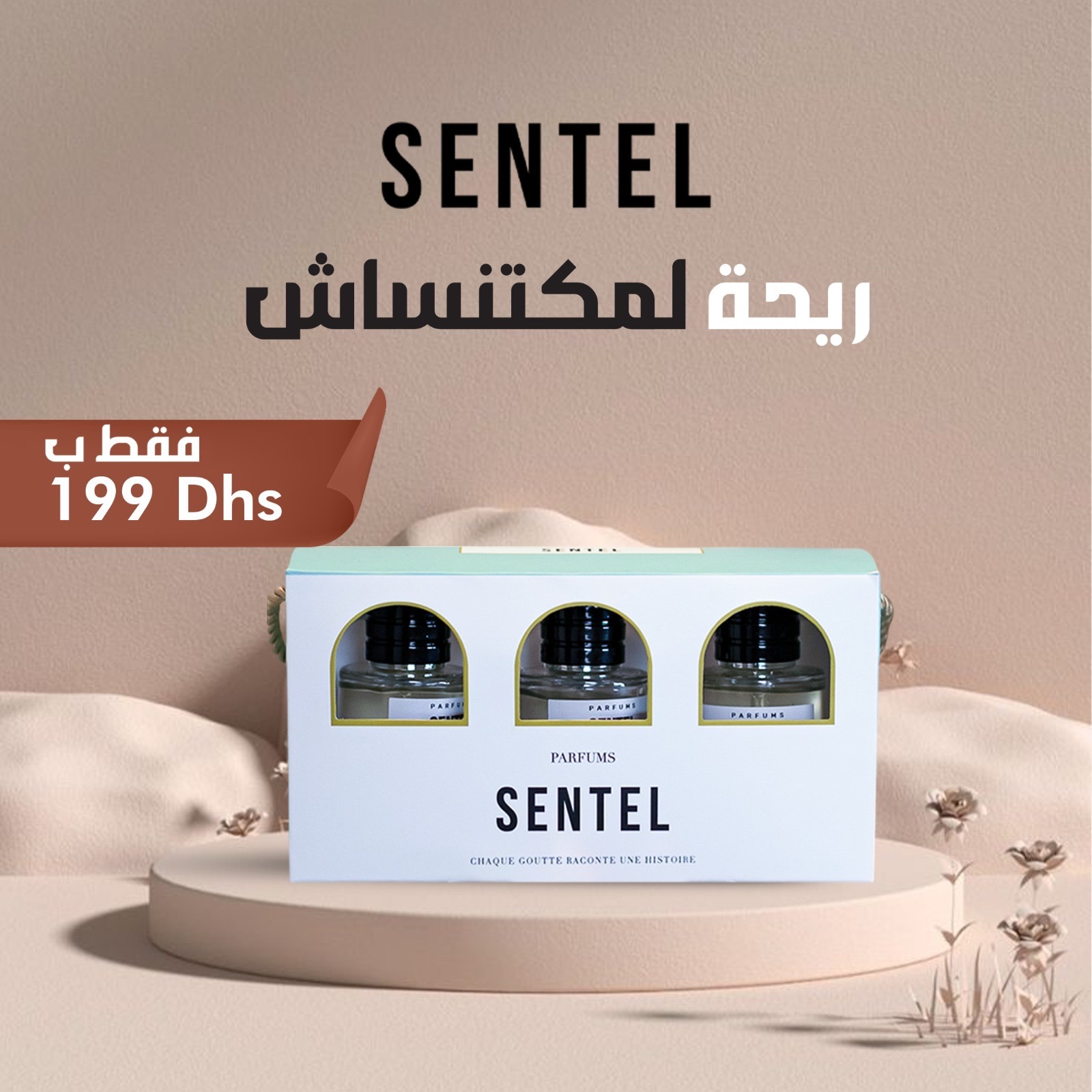 Sentel Facebook ad