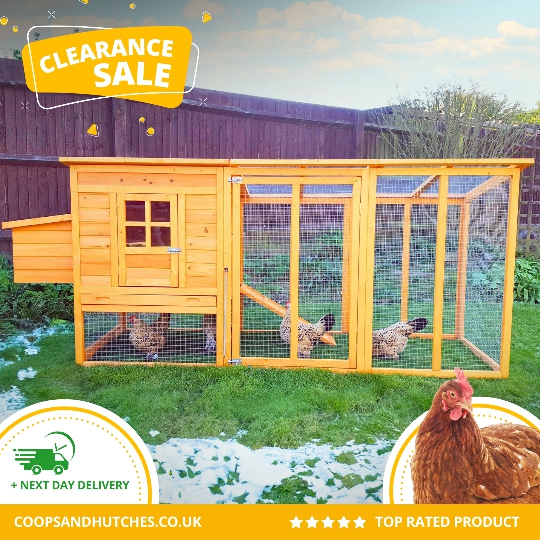 Coops & Hutches Facebook ad: Huge Clearance Sale, Very Limited Stock At This…