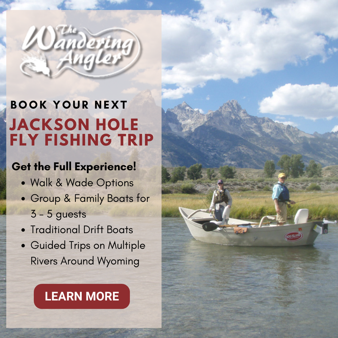 The Wandering Angler Facebook ad from Jun 2, 2026