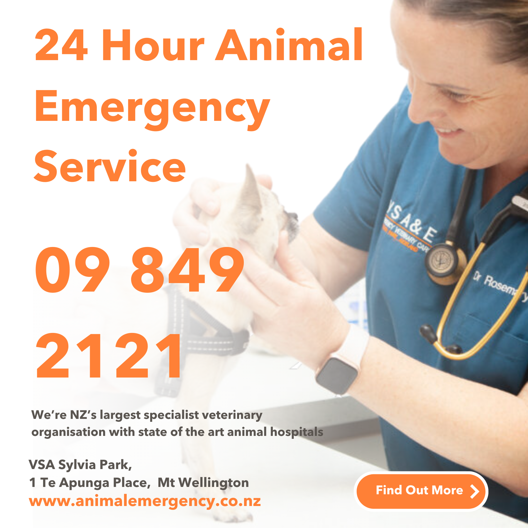 Veterinary Specialists Aotearoa Facebook ad