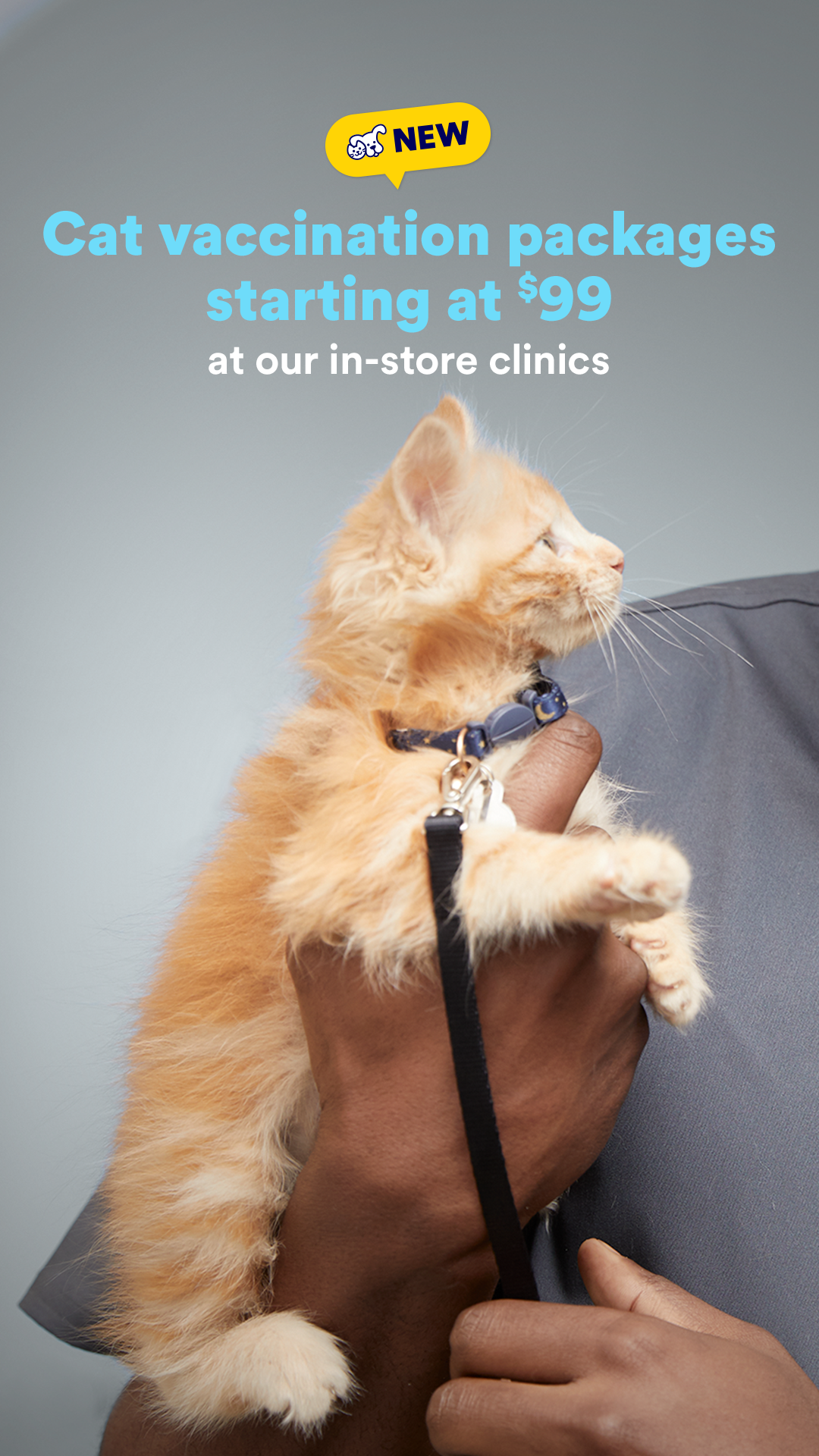 Petco Facebook ad