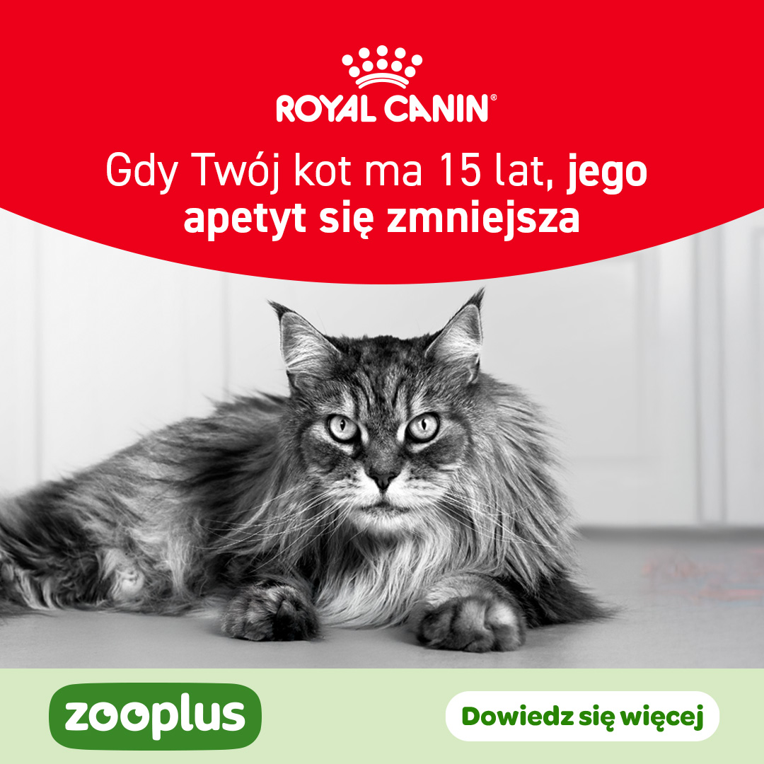 zooplus Facebook ad