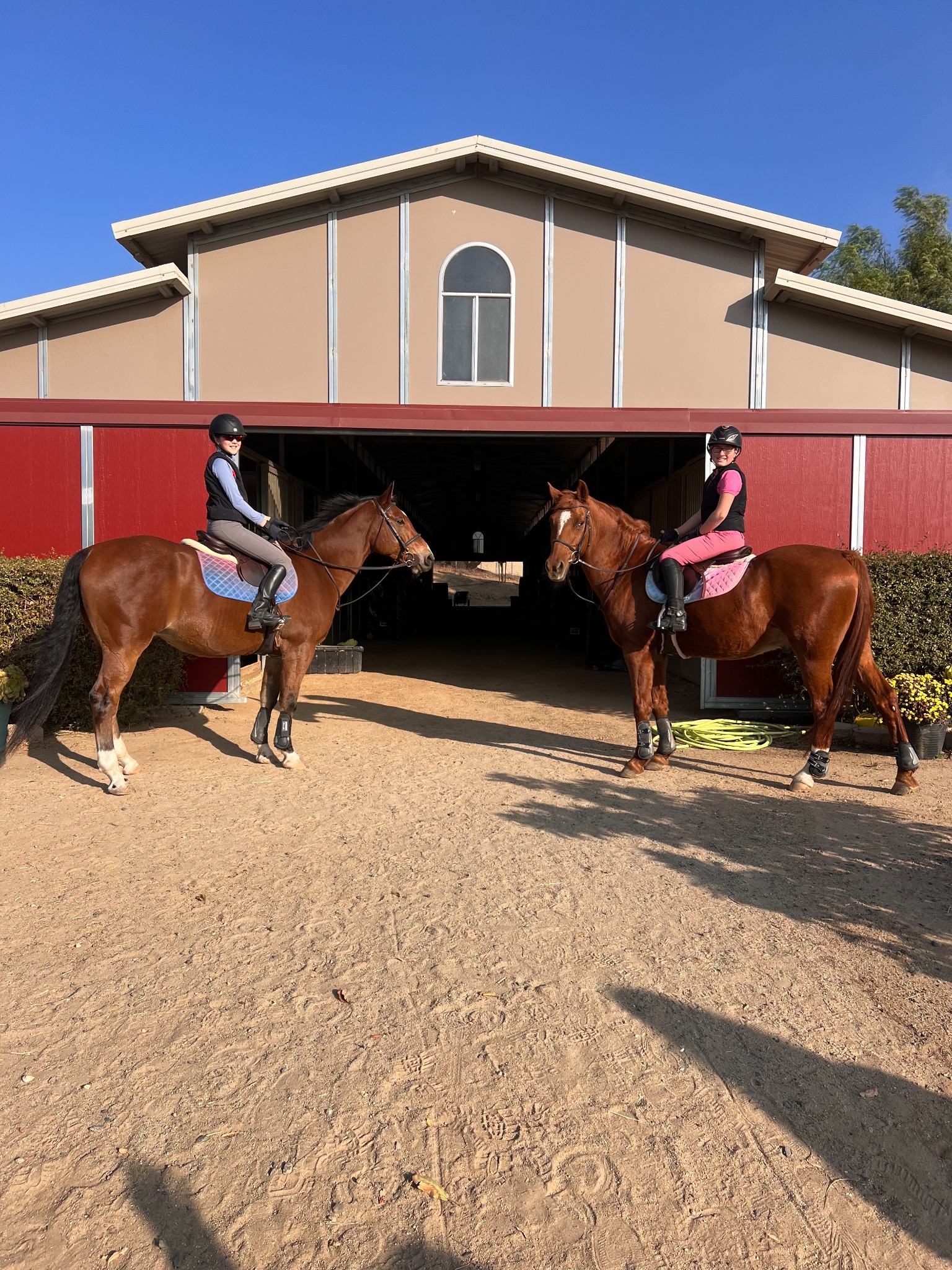 Delacreme Equestrian Facebook ad: Welcome to the Ultimate Horse Experience!