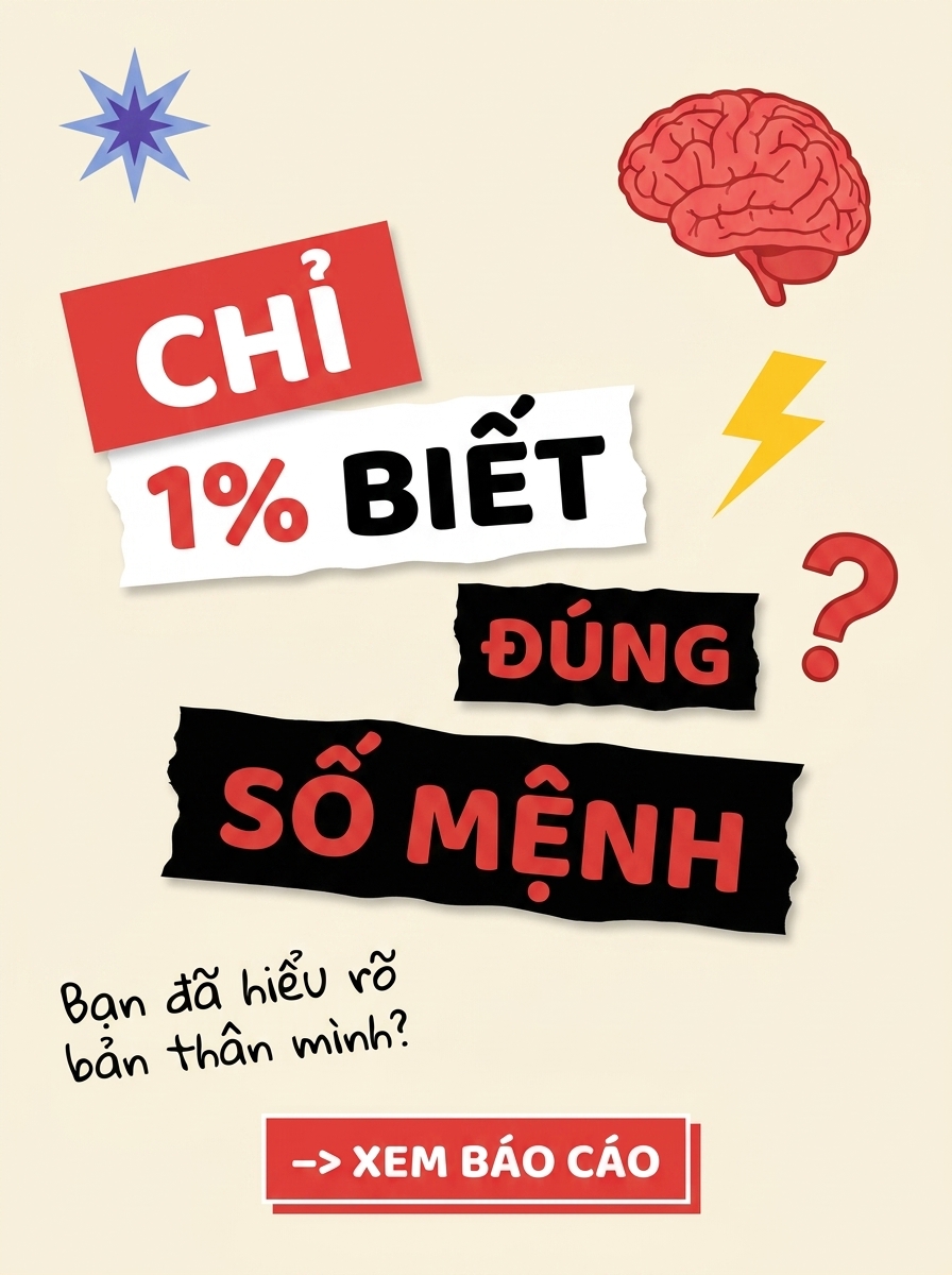 Sochumenh.vn - Tra Cứu Thần Số Học, Giải Mã Số Mệnh Facebook ad: Định hướng & Khẳng định Sự nghiệp