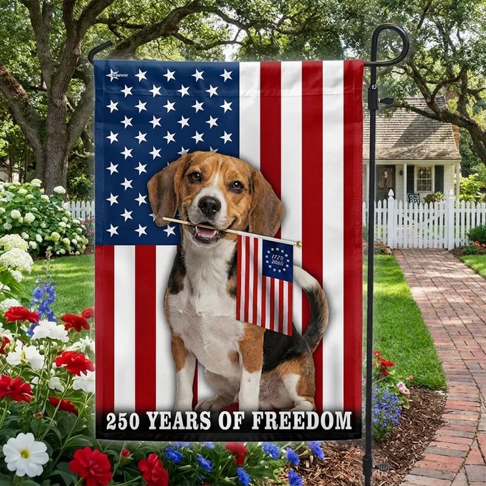 Flagwix.com Facebook ad