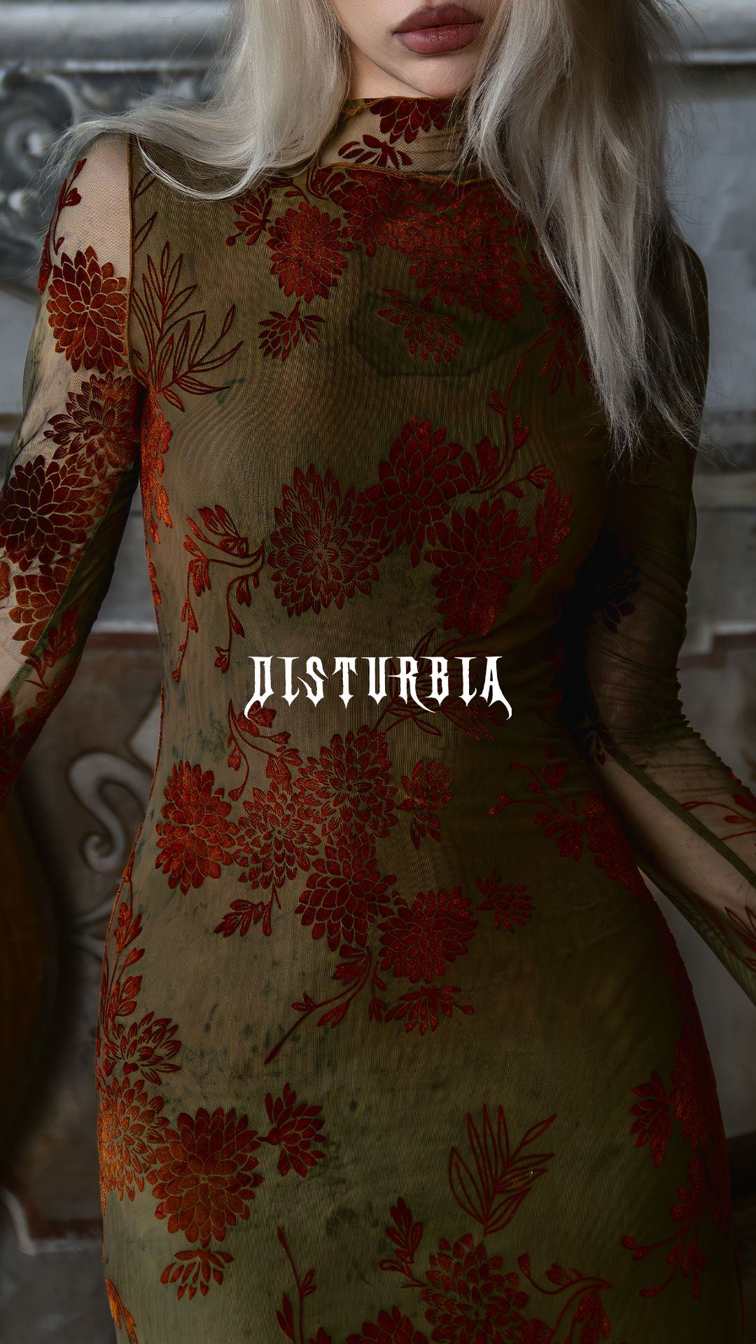 Disturbia Facebook ad