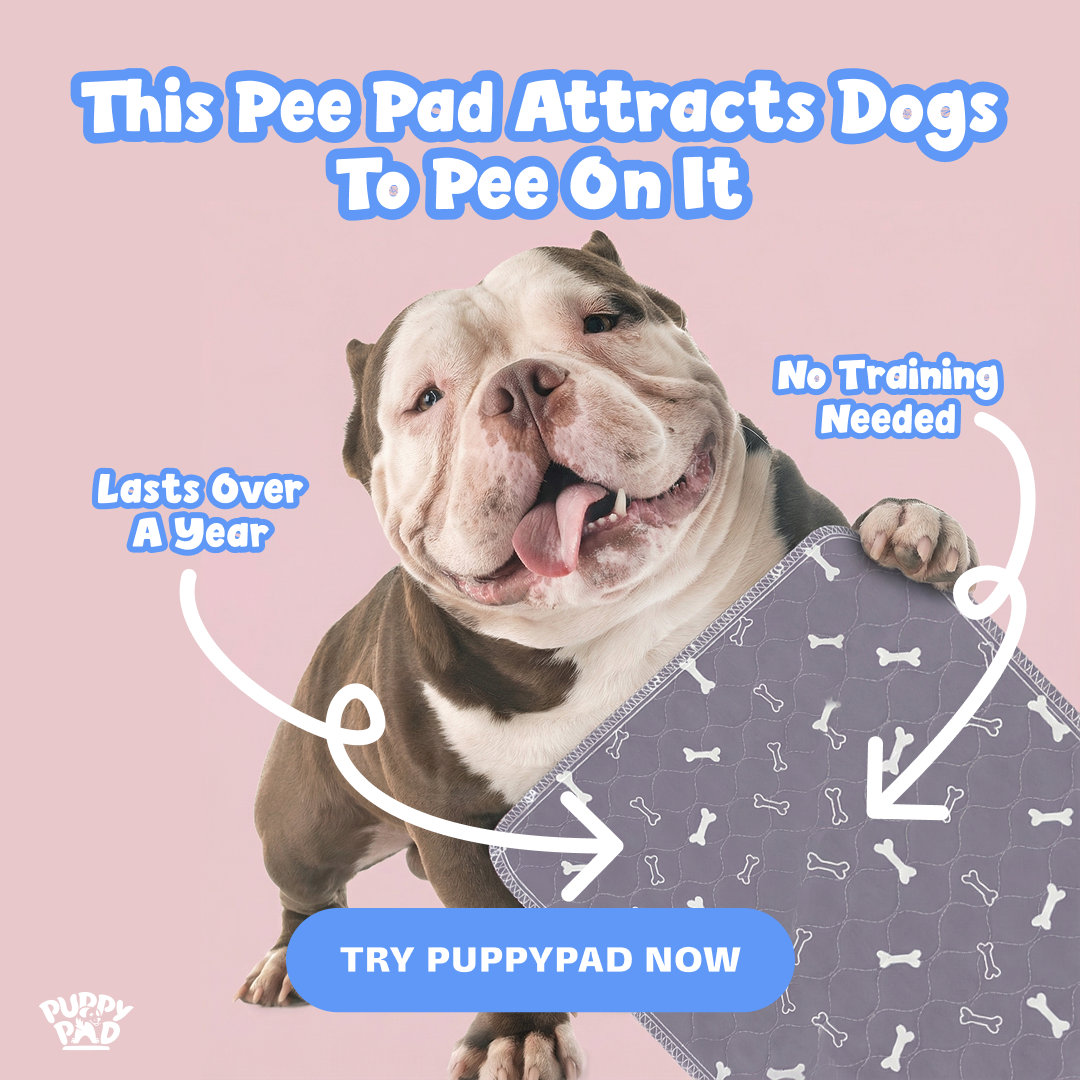 PuppyPad Facebook ad