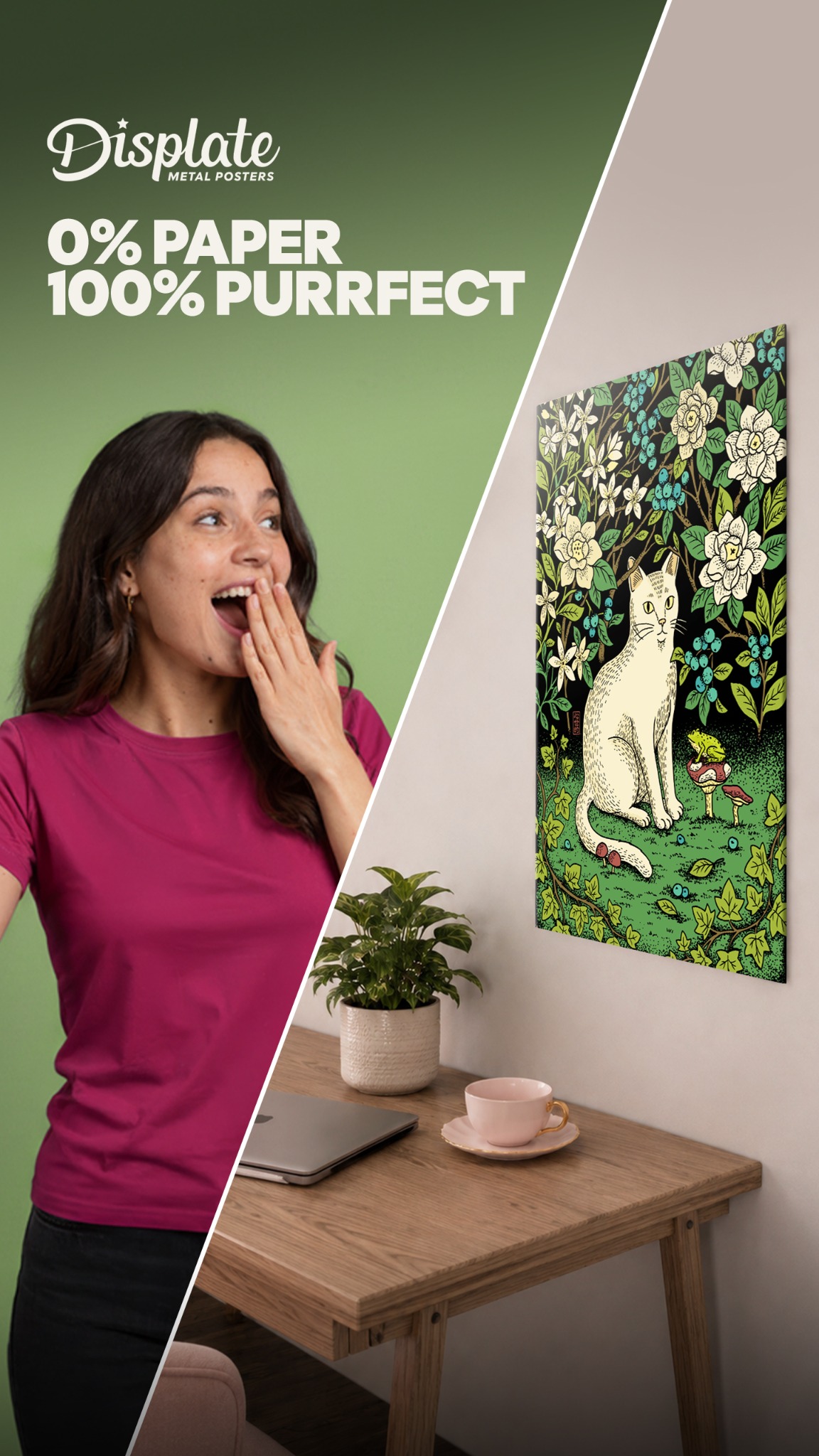 Displate Facebook ad