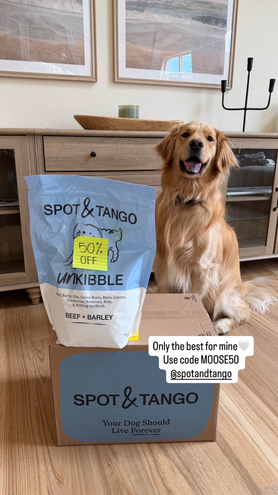 Moose the Golden Facebook ad