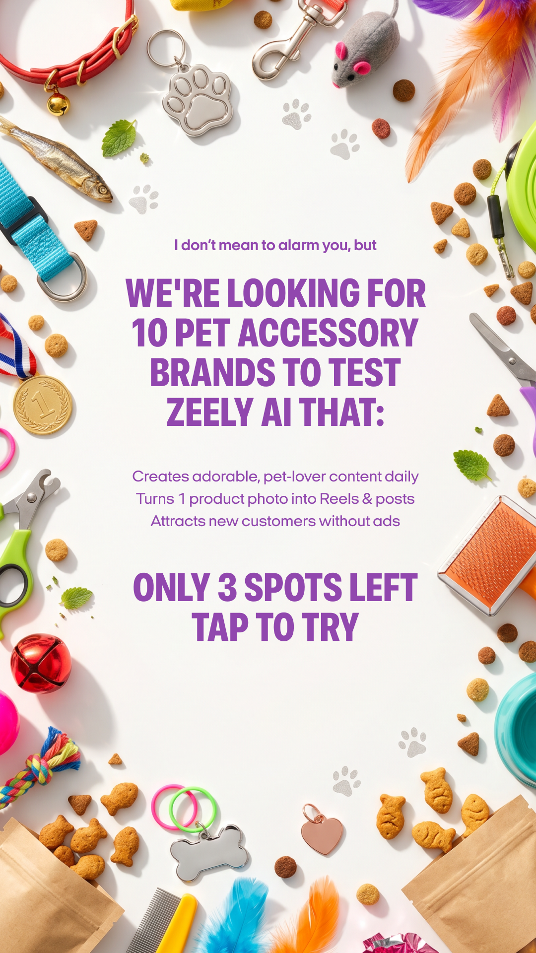Zeely Facebook ad