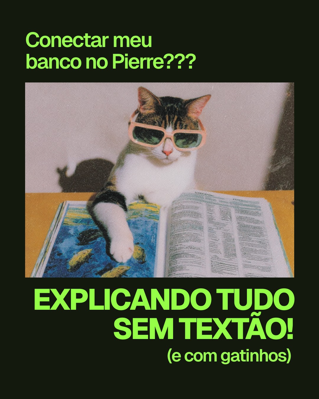 Pierre Finance Facebook ad