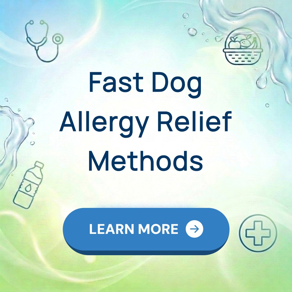 Icananswerthat Alignify Facebook ad: Fast Dog Allergy Relief Methods.