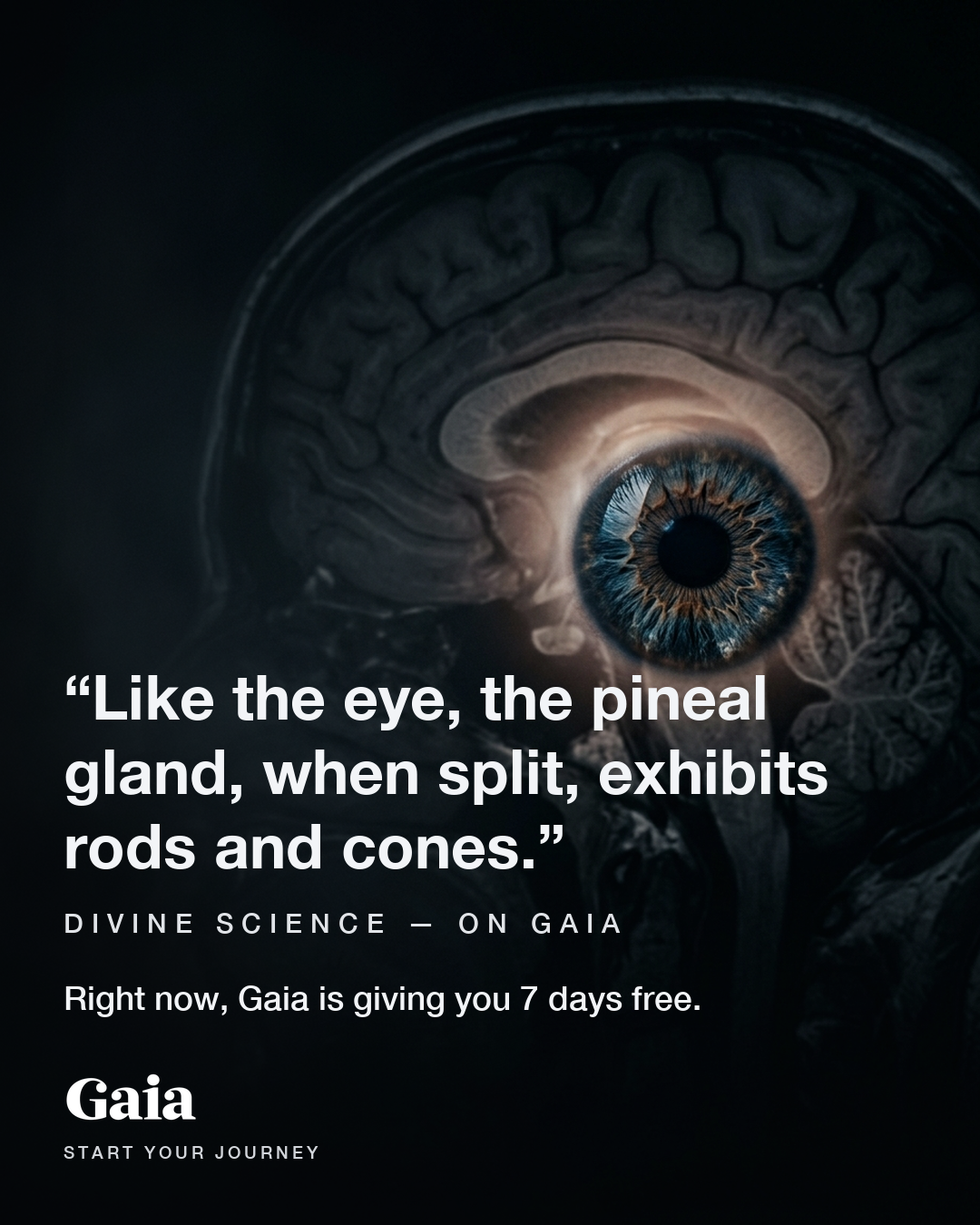Gaia Facebook ad