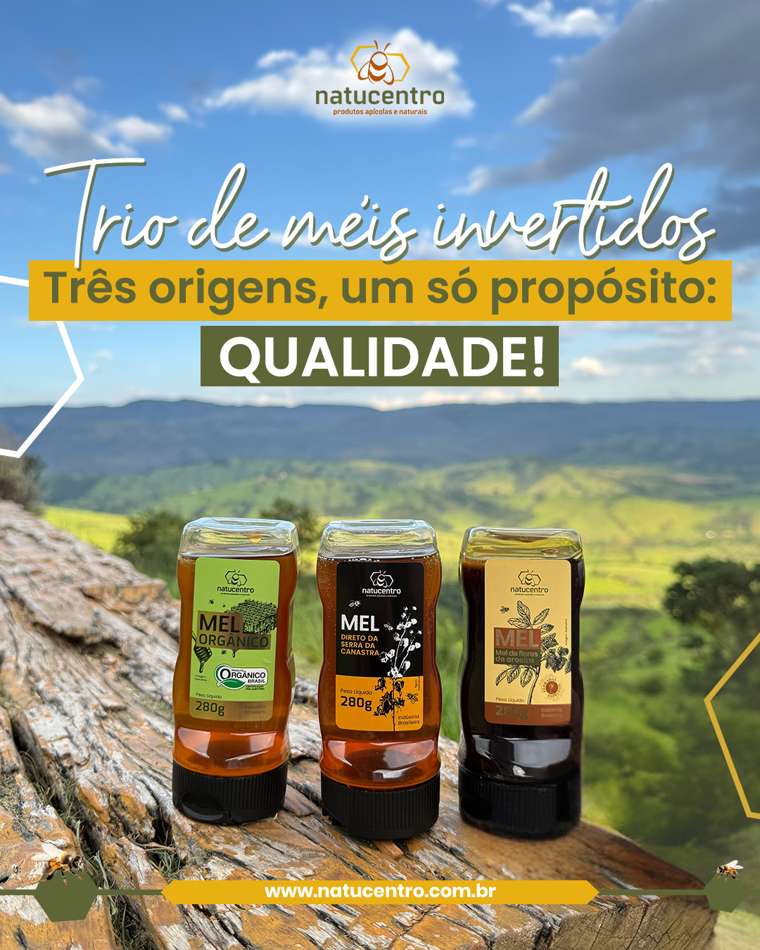 Natucentro Facebook ad: Kit Méis - Aroeira, Canastra E Orgânico 280g Natucentro…
