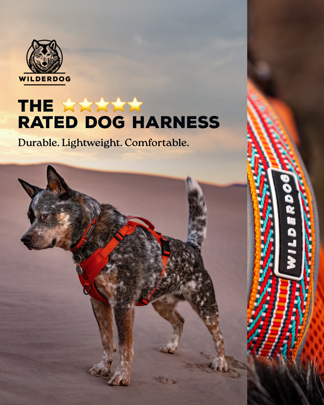 Wilderdog Facebook ad