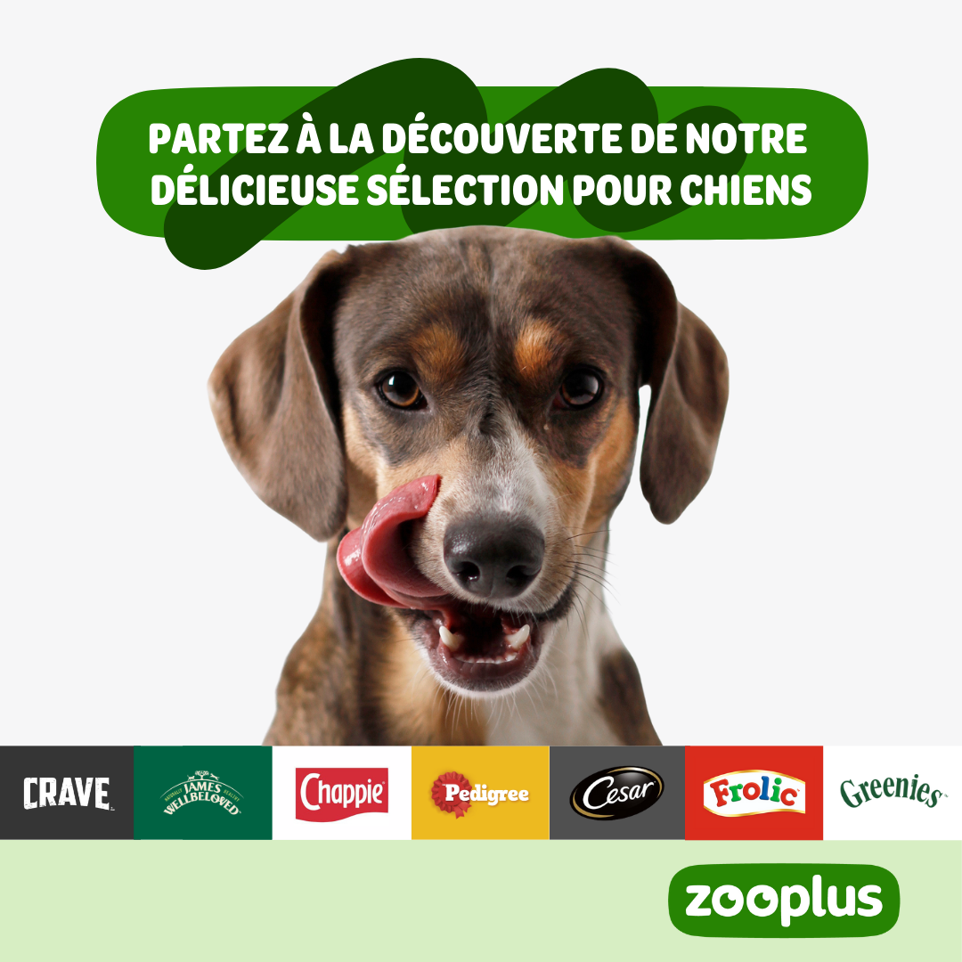 zooplus Facebook ad
