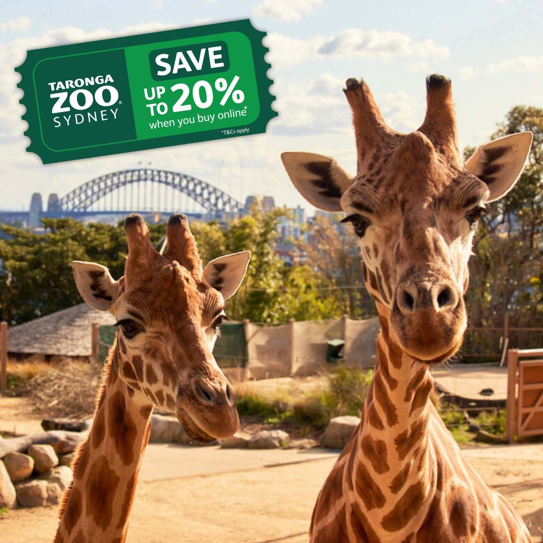 Taronga Zoo Sydney Facebook ad from May 19, 2026