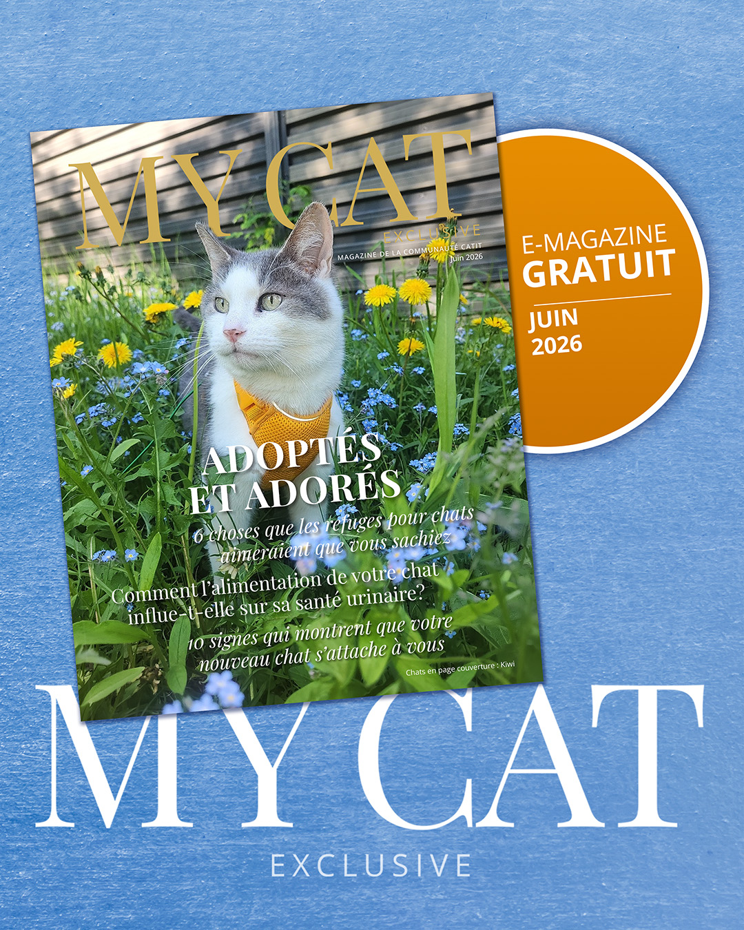 Catit Canada Facebook ad