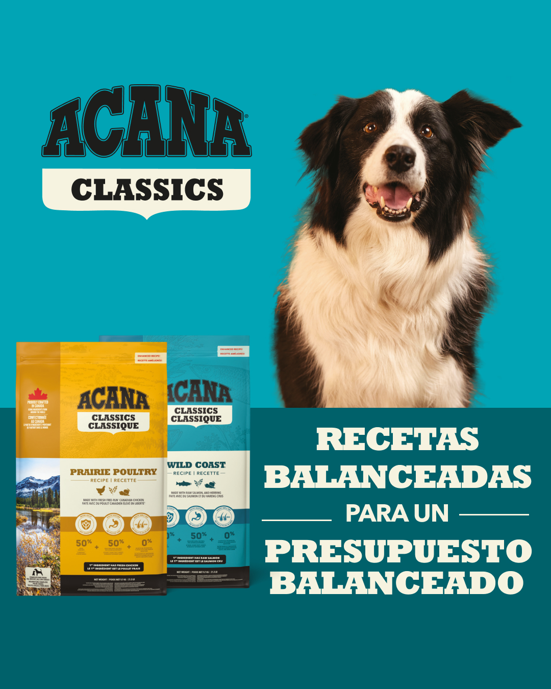 ACANA_Chile Facebook ad: Acana Chile (@acana_chile) • Instagram photos and videos