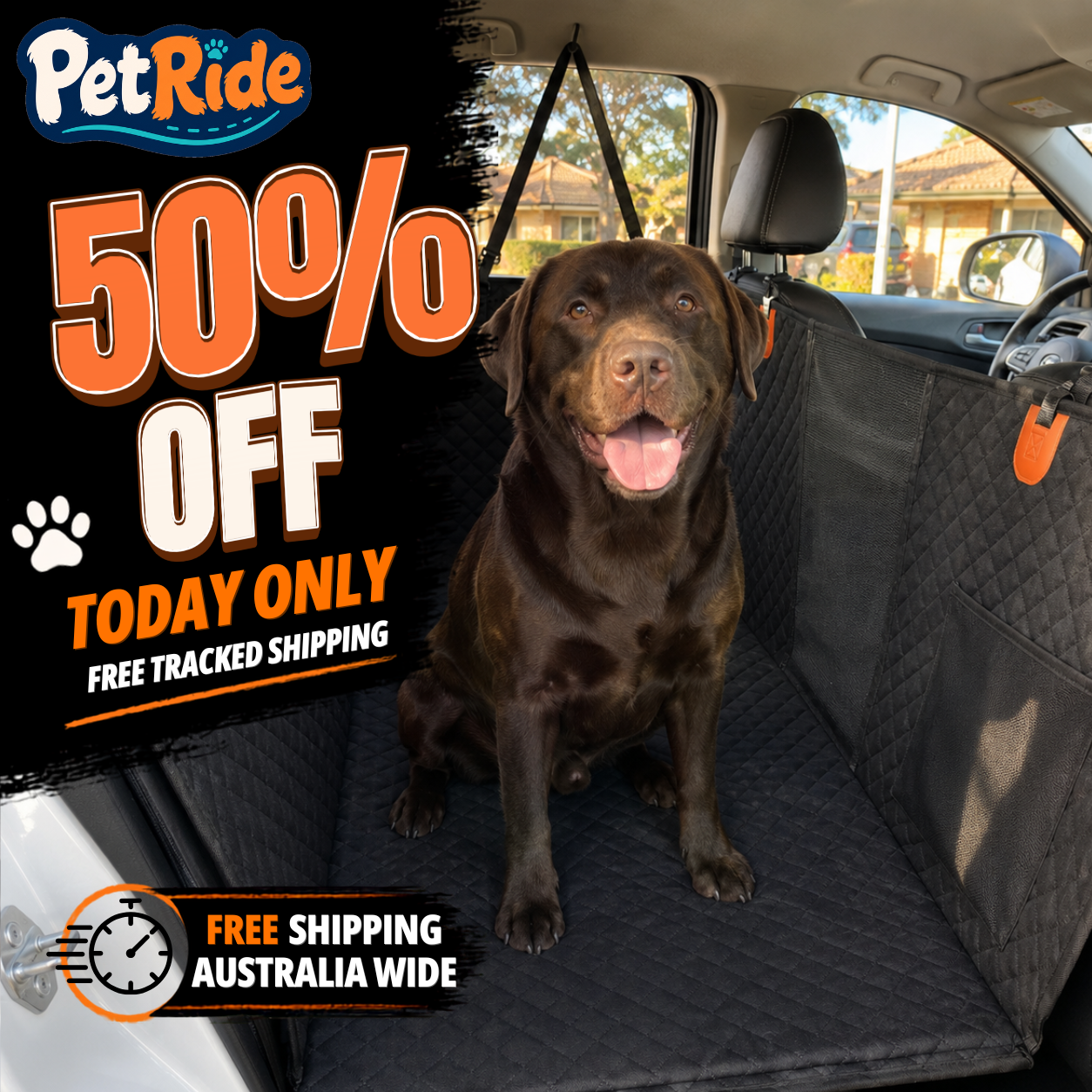 Pet Ride Facebook ad