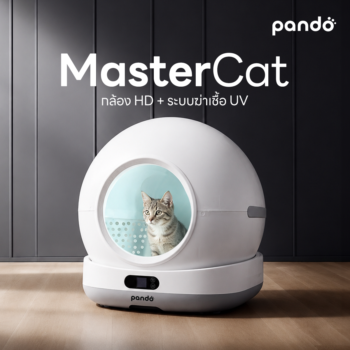 PANDO Facebook ad: Pando MasterCat ทางเข้าเตี้ย ช้อปเลย