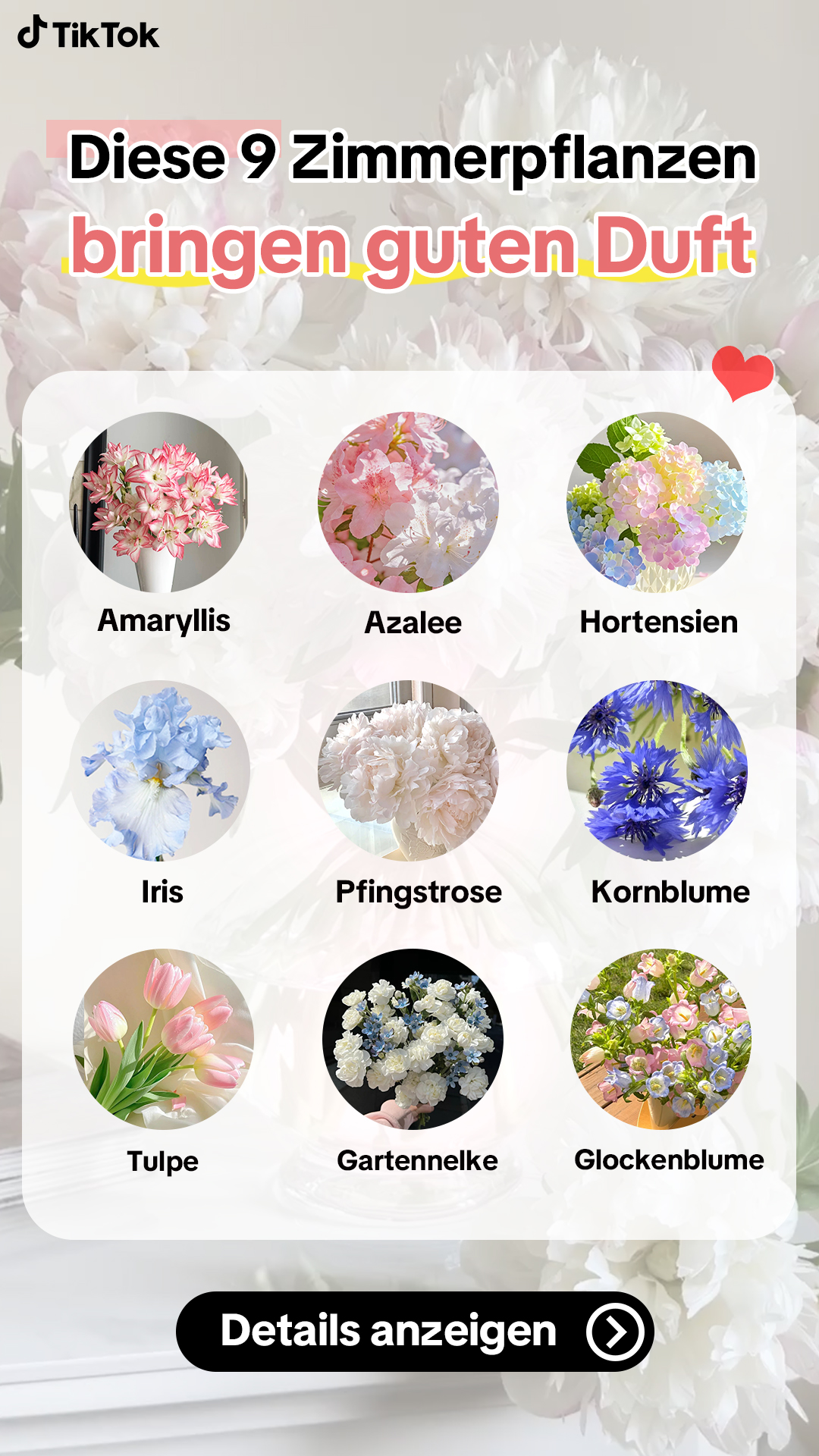 TikTok - EU Facebook ad