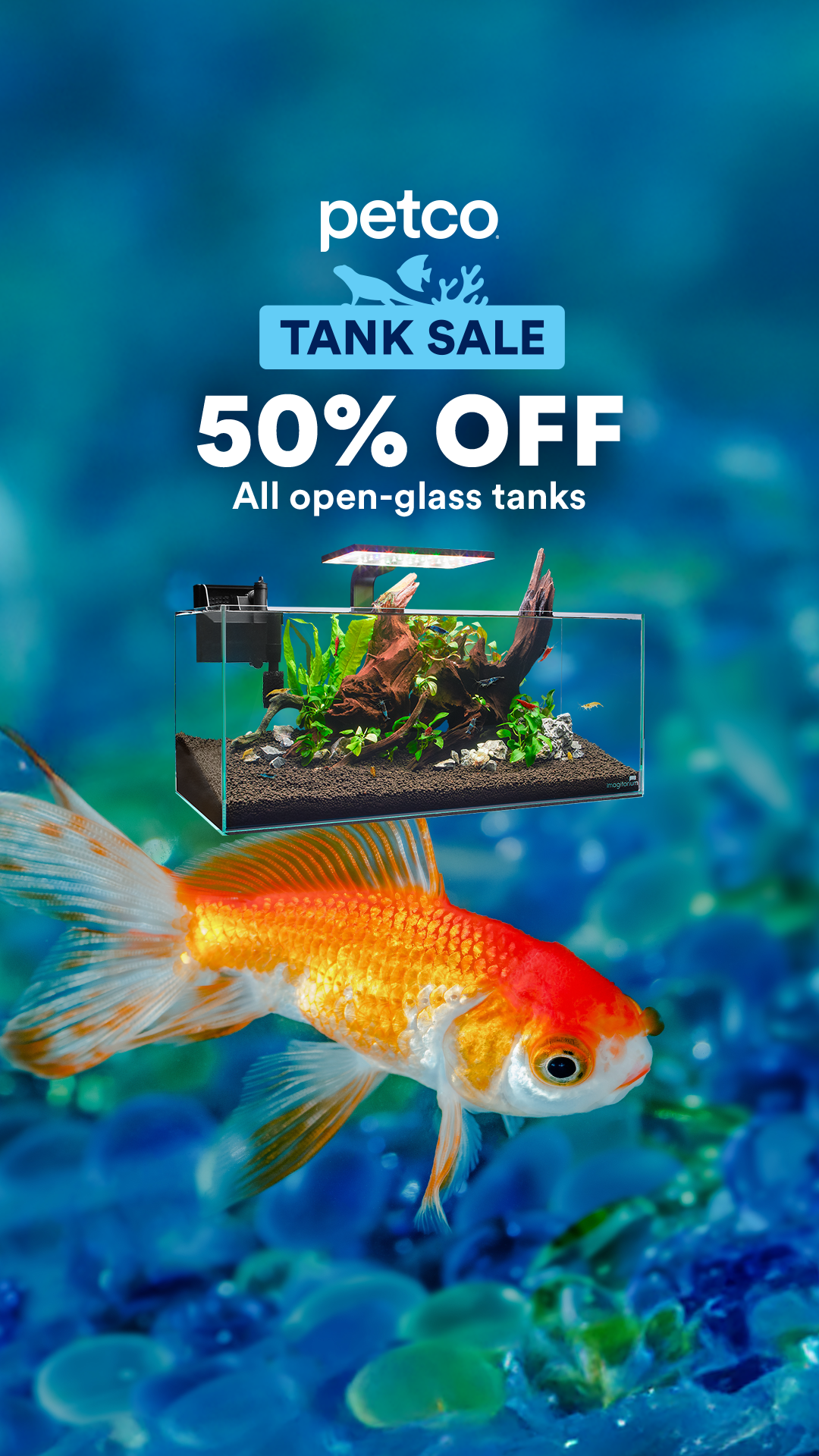 Petco Facebook ad