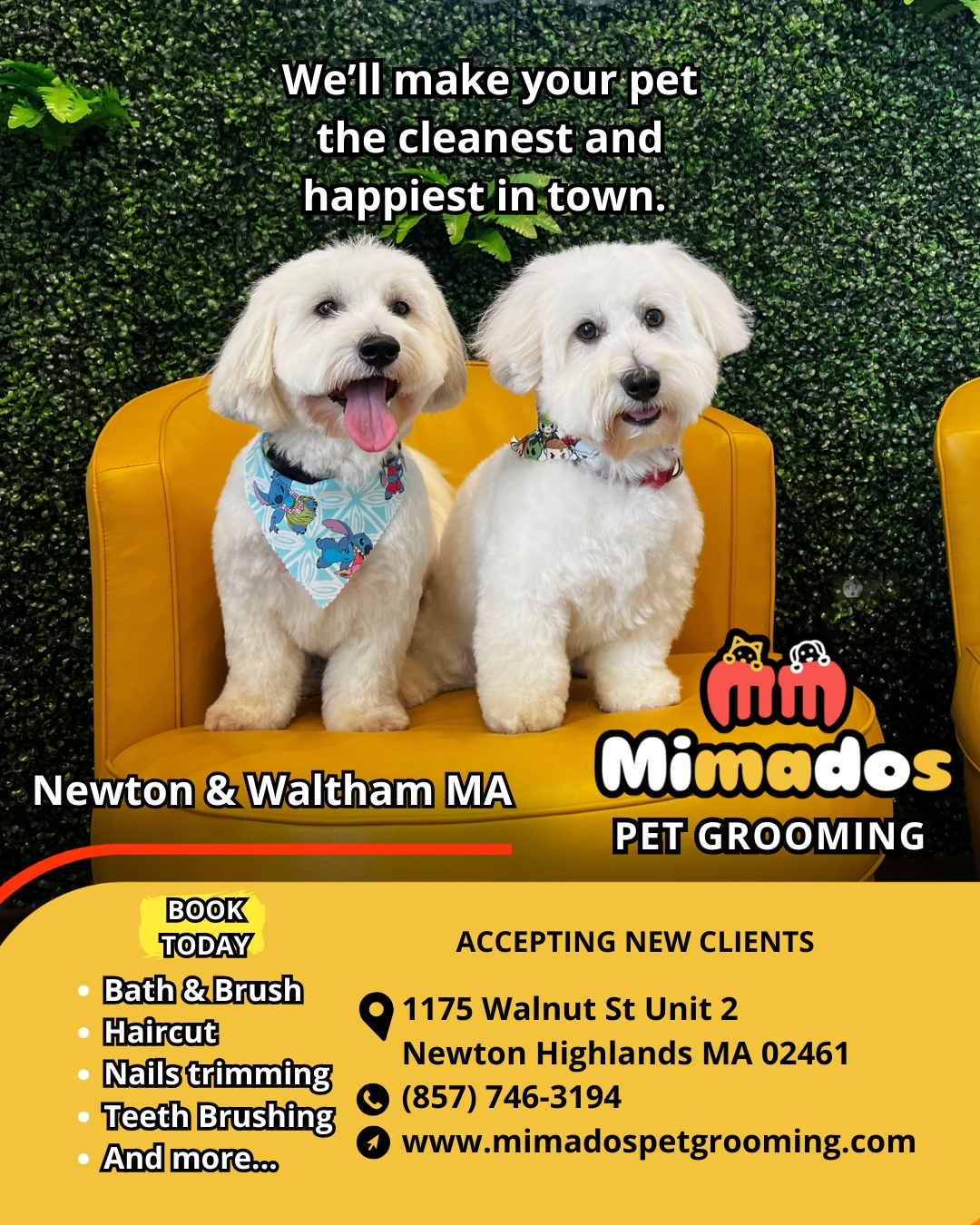 Mimados Pet Grooming Facebook ad from May 19, 2026