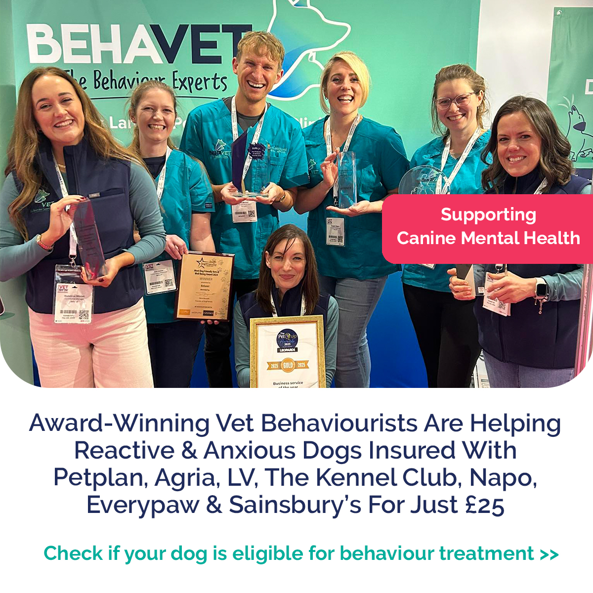 Behavet: The Pet Behaviour Experts Facebook ad