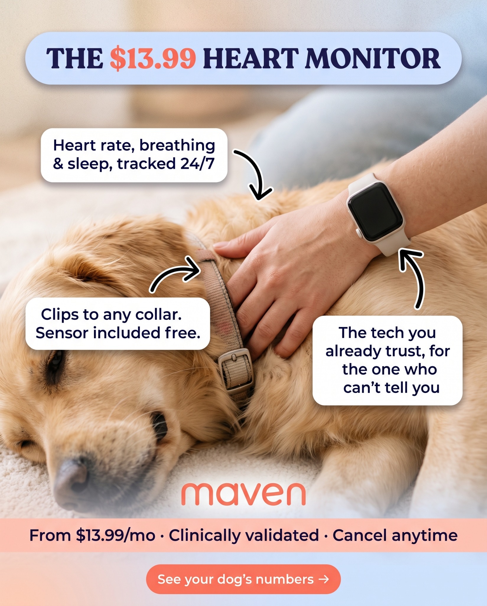 Maven Pet Facebook ad