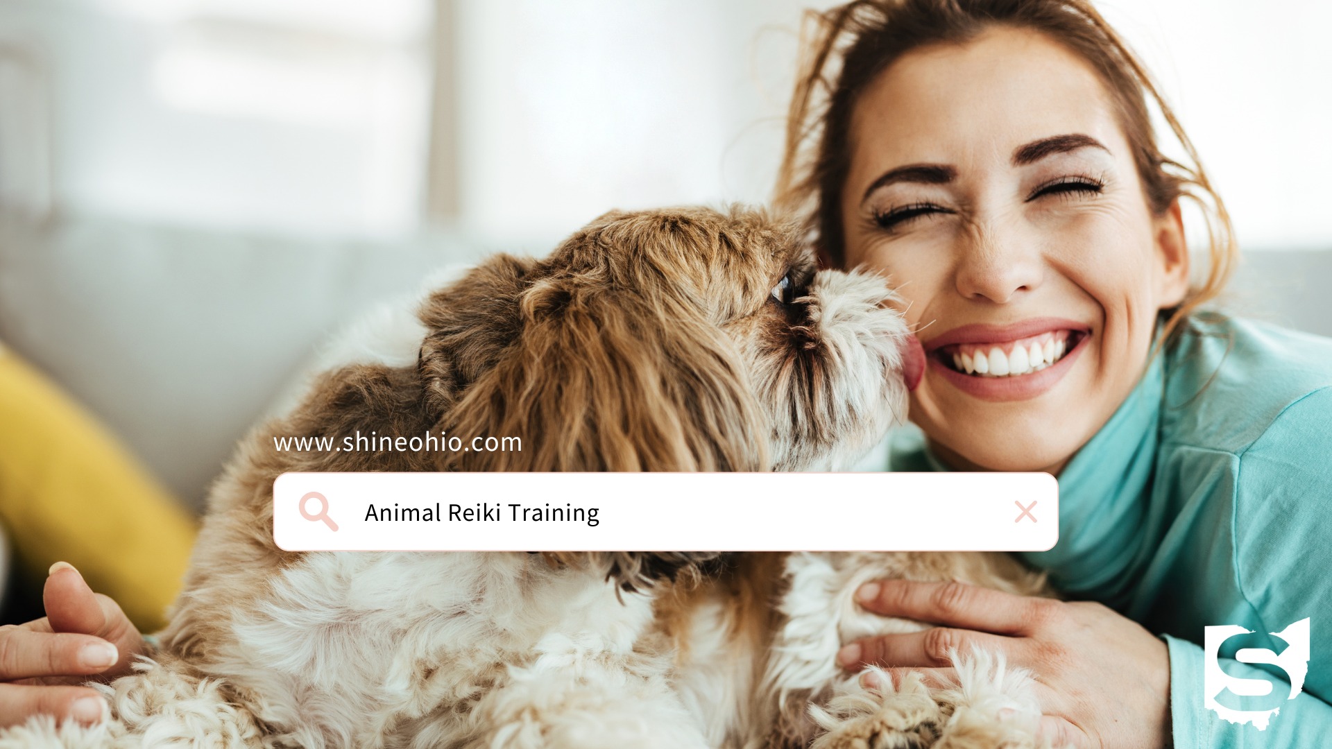 SHINE Ohio Facebook ad: Intro to Reiki + Animal Reiki Certification