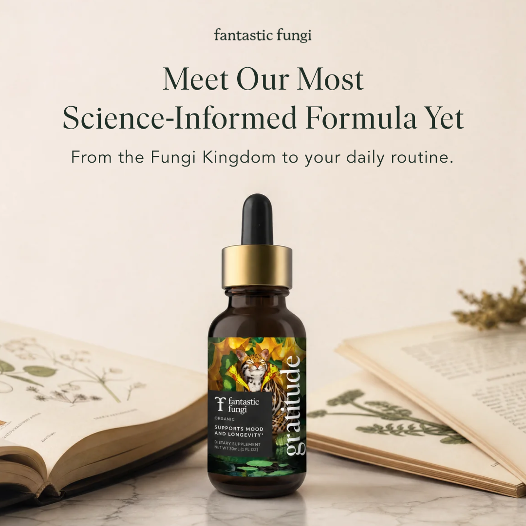 Fantastic Fungi Facebook ad