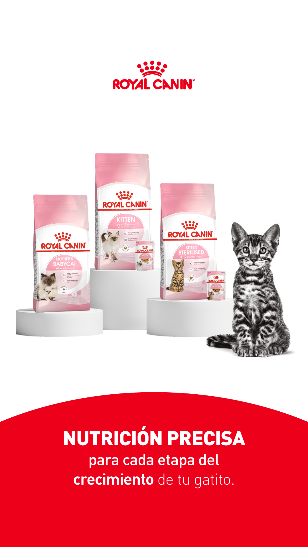 Royal Canin Perú Facebook ad: Desarrollo y cuidados del gatito