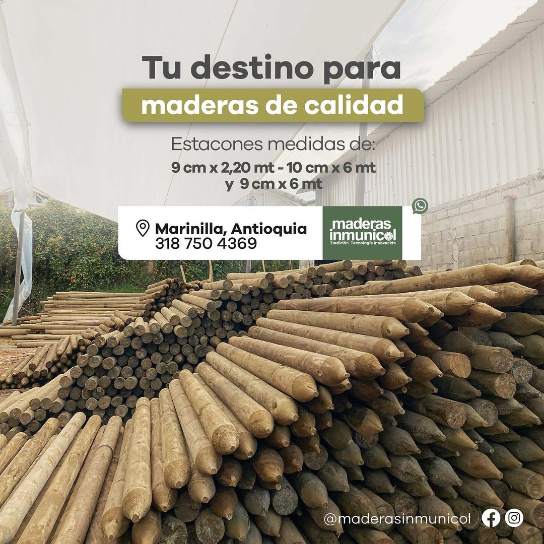 Maderas Inmunicol Facebook ad: Madera Inmunizada para Proyectos Resistentes