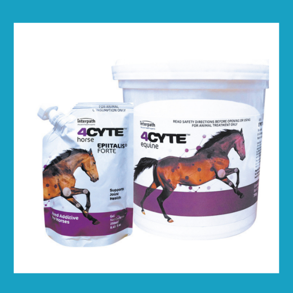 The Vet Shed - Online Pet Store Facebook ad