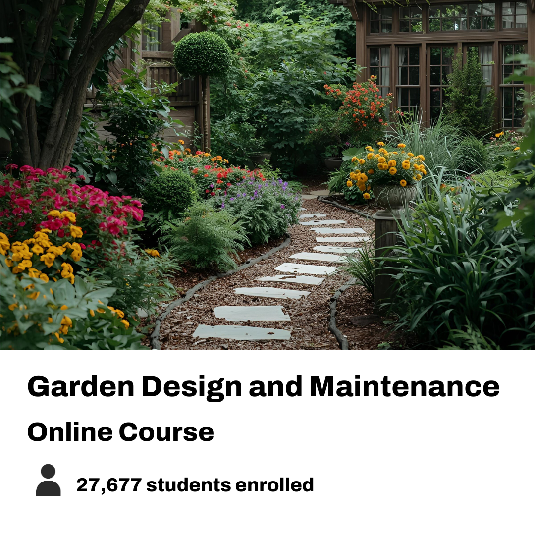 New Skills Academy Facebook ad