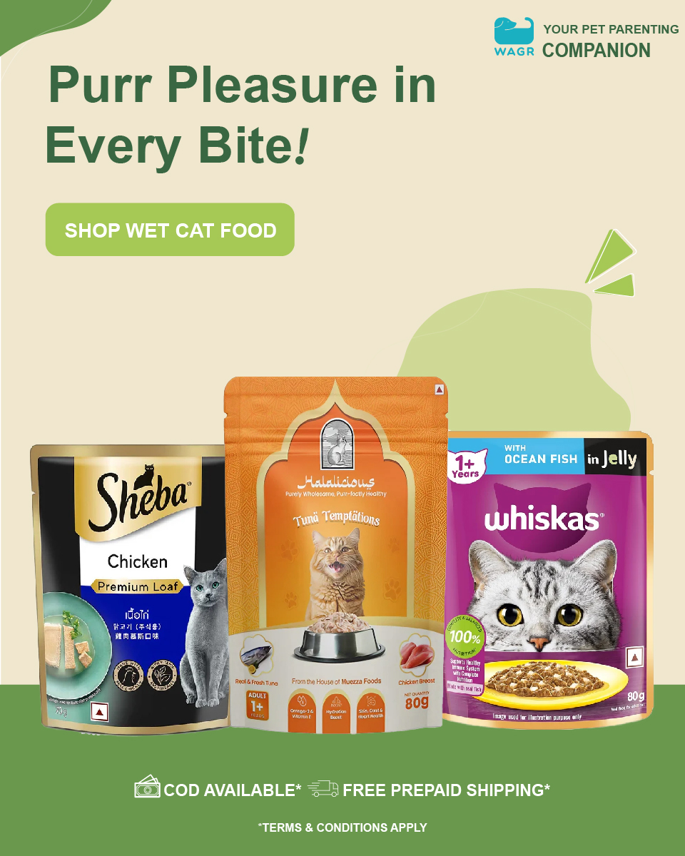 Wagr Facebook ad