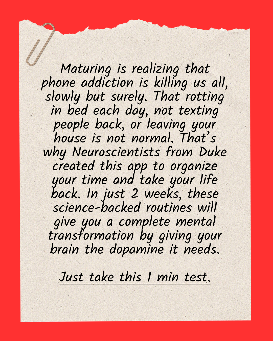 The Fabulous Facebook ad