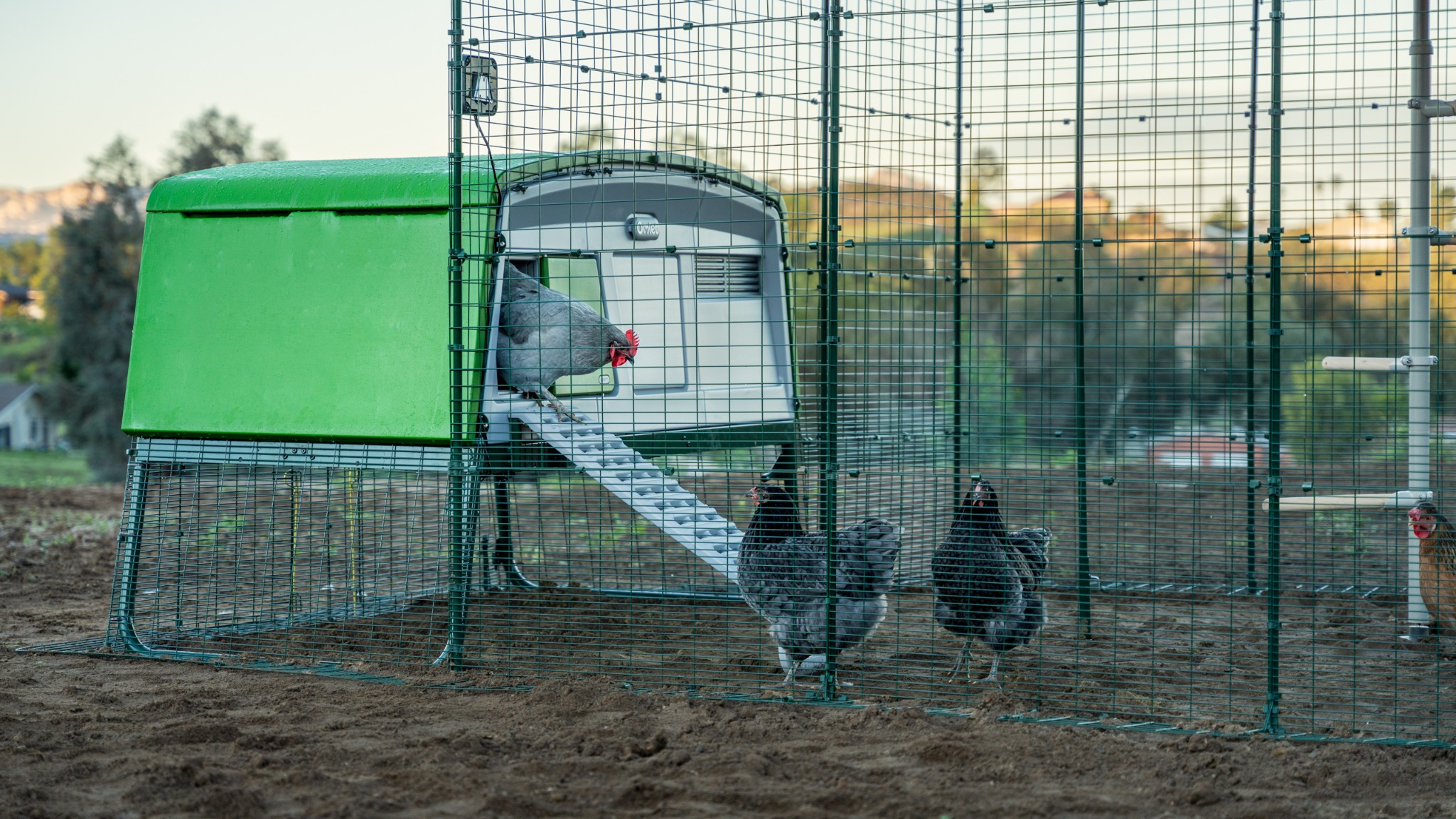 Omlet - Les produits pour vos animaux Facebook ad
