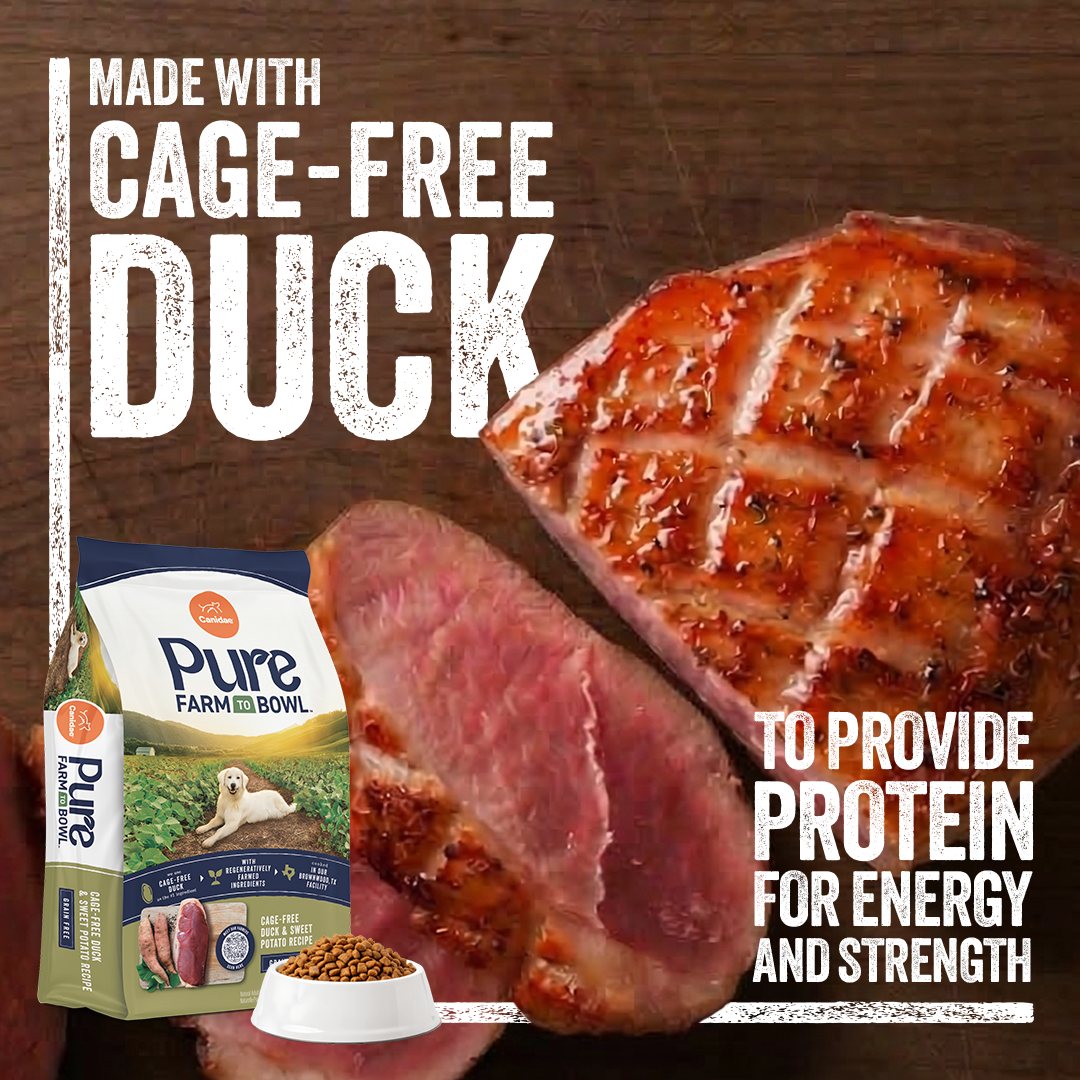 Canidae Pet Food Facebook ad: Cage-Free Duck Supports Muscle Health