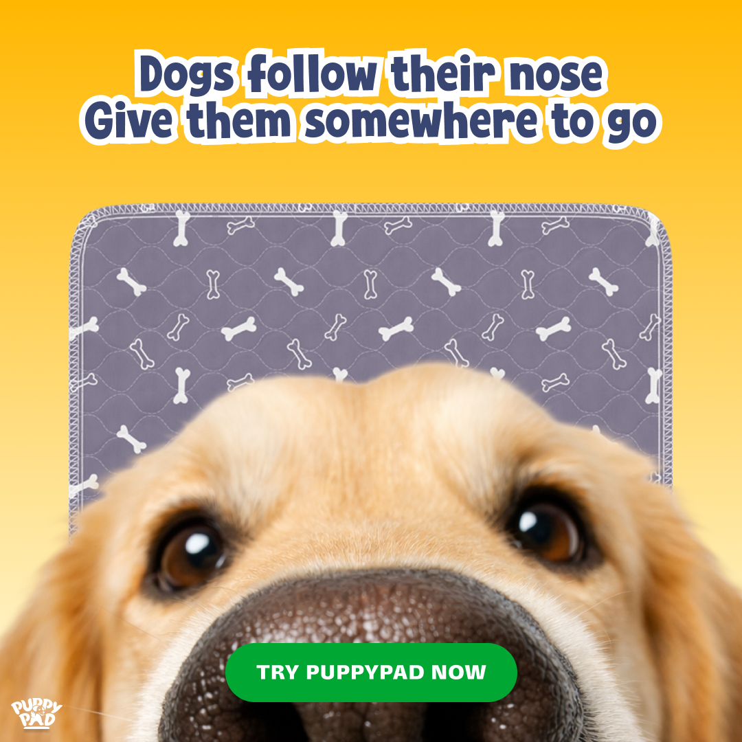 PuppyPad Facebook ad