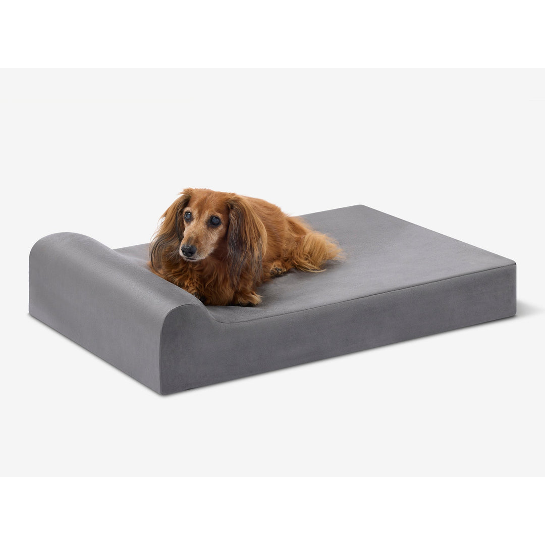 Barker Dog Beds Facebook ad