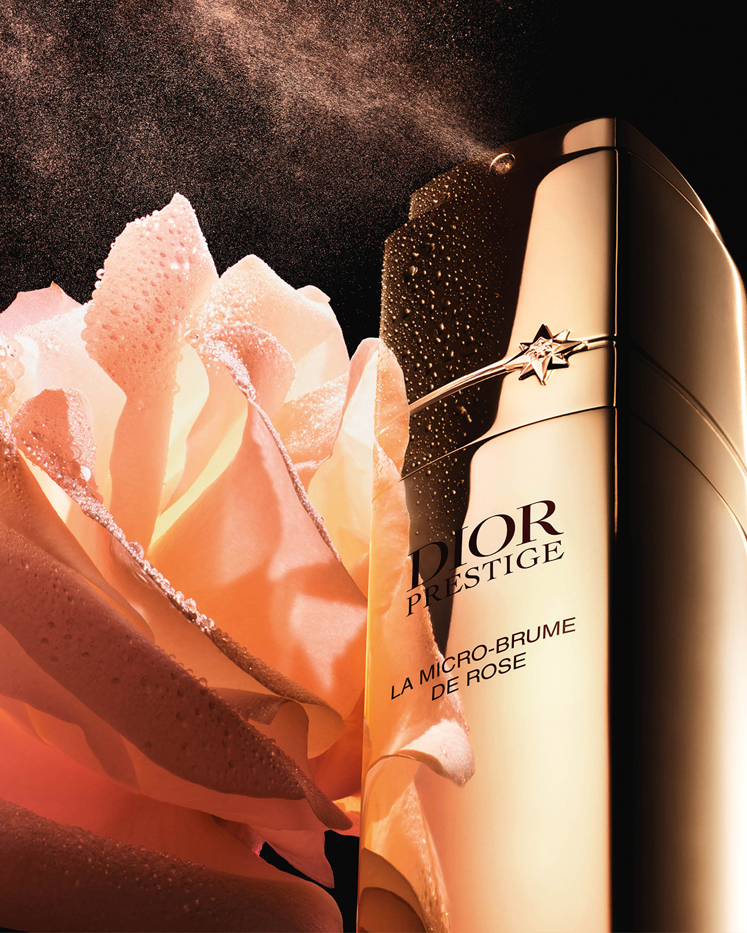 Dior Facebook ad