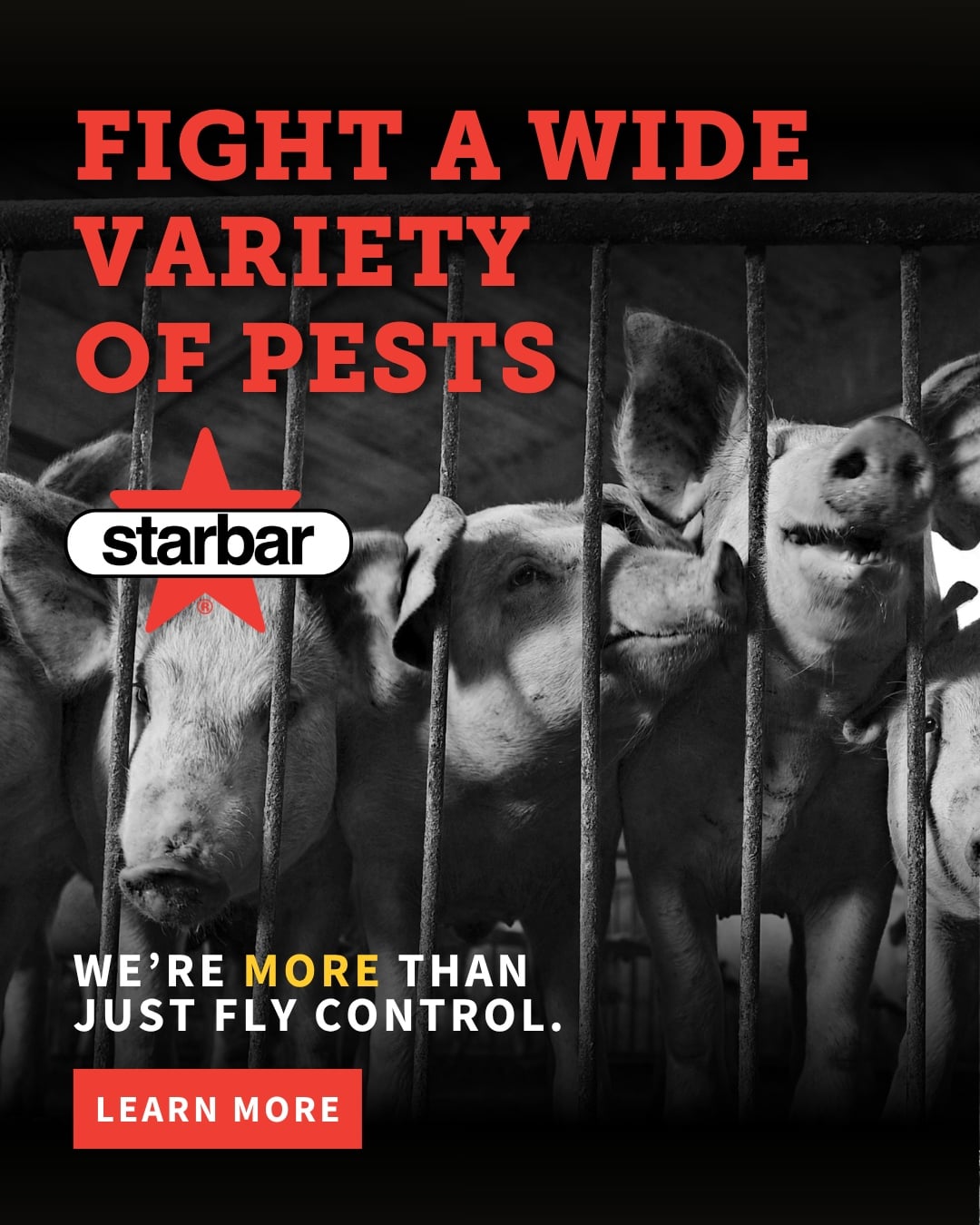 Starbar Products Facebook ad: More Than Just Fly Control | Starbar Products