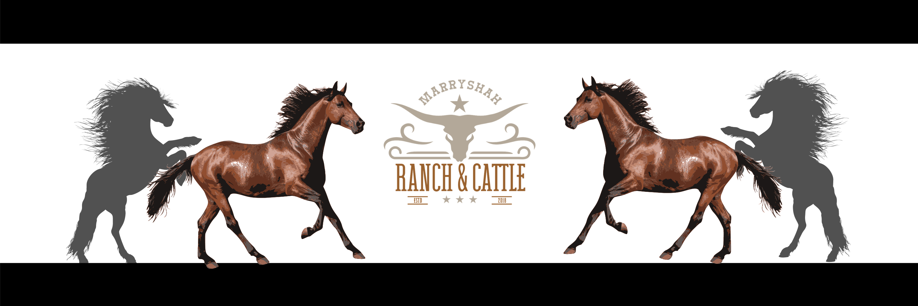 MarryShah Ranch & Cattle Facebook ad: MarryShah ranch and cattle farm was a passion…